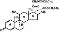 [Contents scheme]