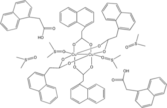 [Contents scheme]