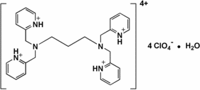 [Contents scheme]
