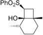 [Contents scheme]
