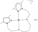 [Contents scheme]