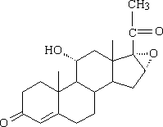 [Contents scheme]