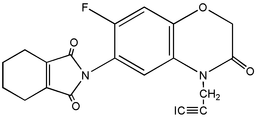 [Contents scheme]