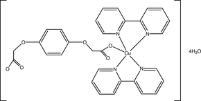 [Contents scheme]
