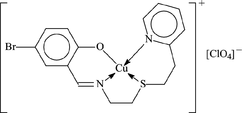 [Contents scheme]