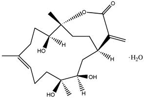 [Contents scheme]