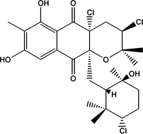 [Contents scheme]