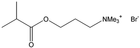 [Contents scheme]