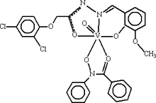[Contents scheme]