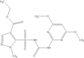 [Contents scheme]