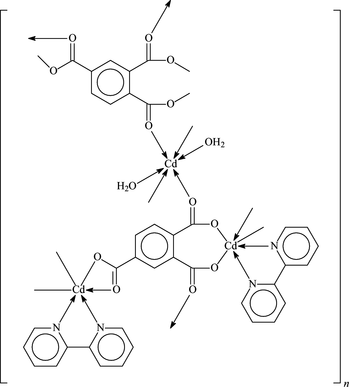 [Contents scheme]