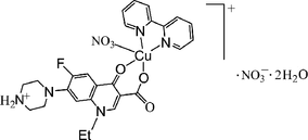 [Contents scheme]