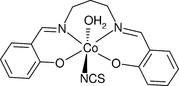 [Contents scheme]