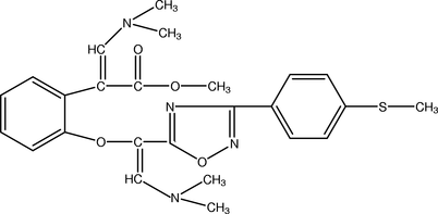 [Contents scheme]