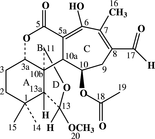 [Contents scheme]