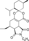 [Contents scheme]