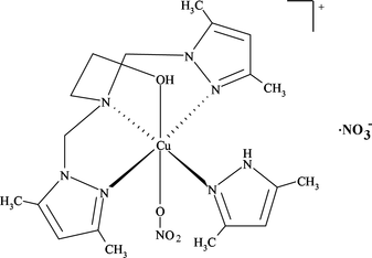 [Contents scheme]