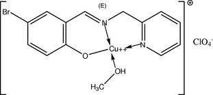 [Contents scheme]