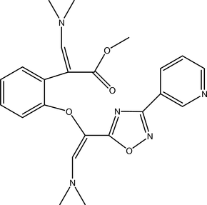 [Contents scheme]