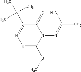 [Contents scheme]