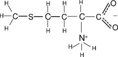 [Contents scheme]