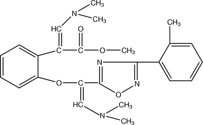 [Contents scheme]