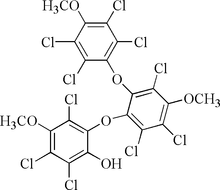 [Contents scheme]