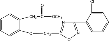 [Contents scheme]