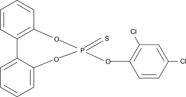 [Contents scheme]