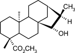 [Contents scheme]