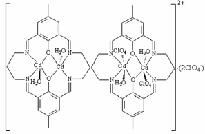 [Contents scheme]