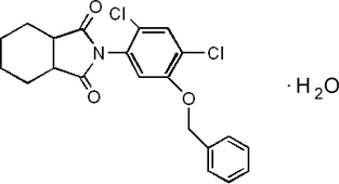 [Contents scheme]