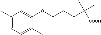 [Contents scheme]