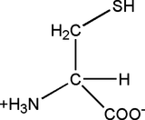[Contents scheme]