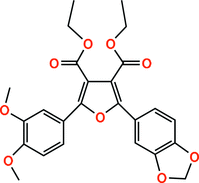[Contents scheme]