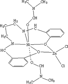 [Contents scheme]