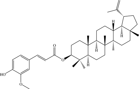 [Contents scheme]