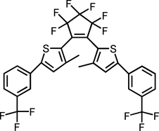 [Contents scheme]