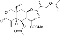 [Contents scheme]