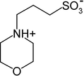 [Contents scheme]