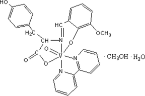 [Contents scheme]