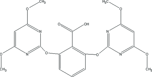 [Contents scheme]