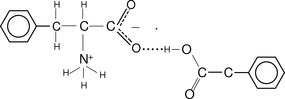 [Contents scheme]