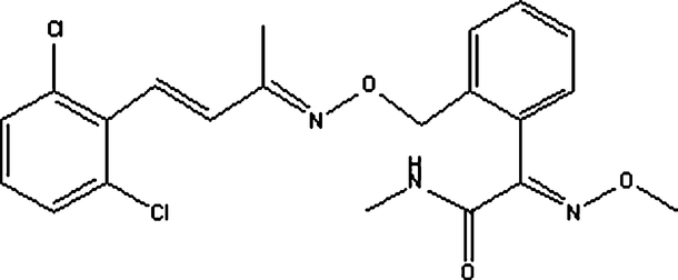 [Contents scheme]