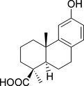 [Contents scheme]