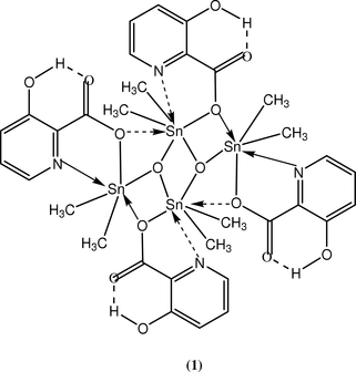 [Contents scheme]