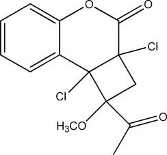 [Contents scheme]