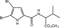 [Contents scheme]