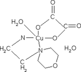 [Contents scheme]