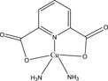 [Contents scheme]
